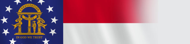 GEORGIA STATE BADGES