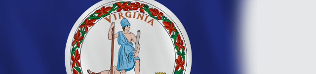 VIRGINIA STATE BADGES